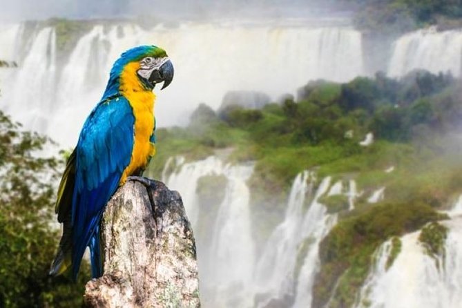 10-Day Best of Buenos Aires and Iguazu Falls Tour - Activity Experiences