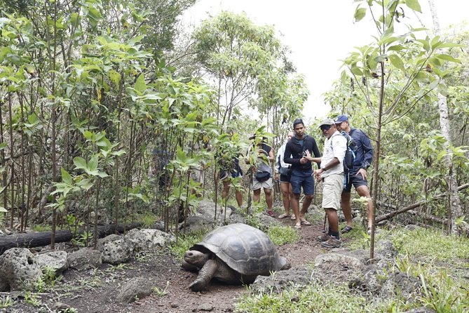 11 Days Galapagos Full Experiences " Santa Cruz- Isabela - San Cristobal " - Common questions