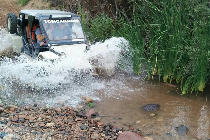 3 Hour Guided TomCar ATV Tour in Sonoran Desert - Provided Equipment and Gear