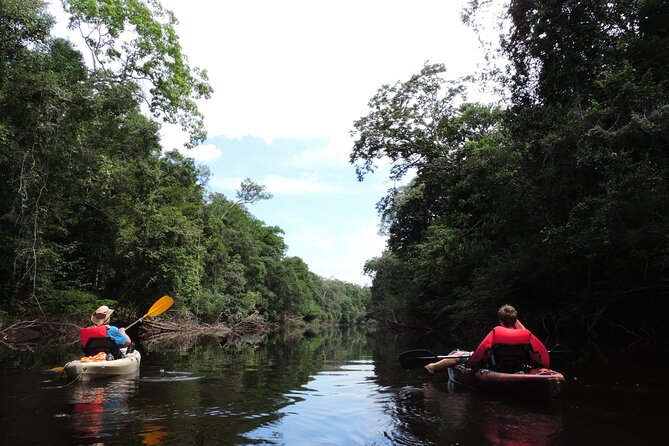 6-Day Guided Kayak Expedition in the Amazon - Safety Precautions and Guidelines