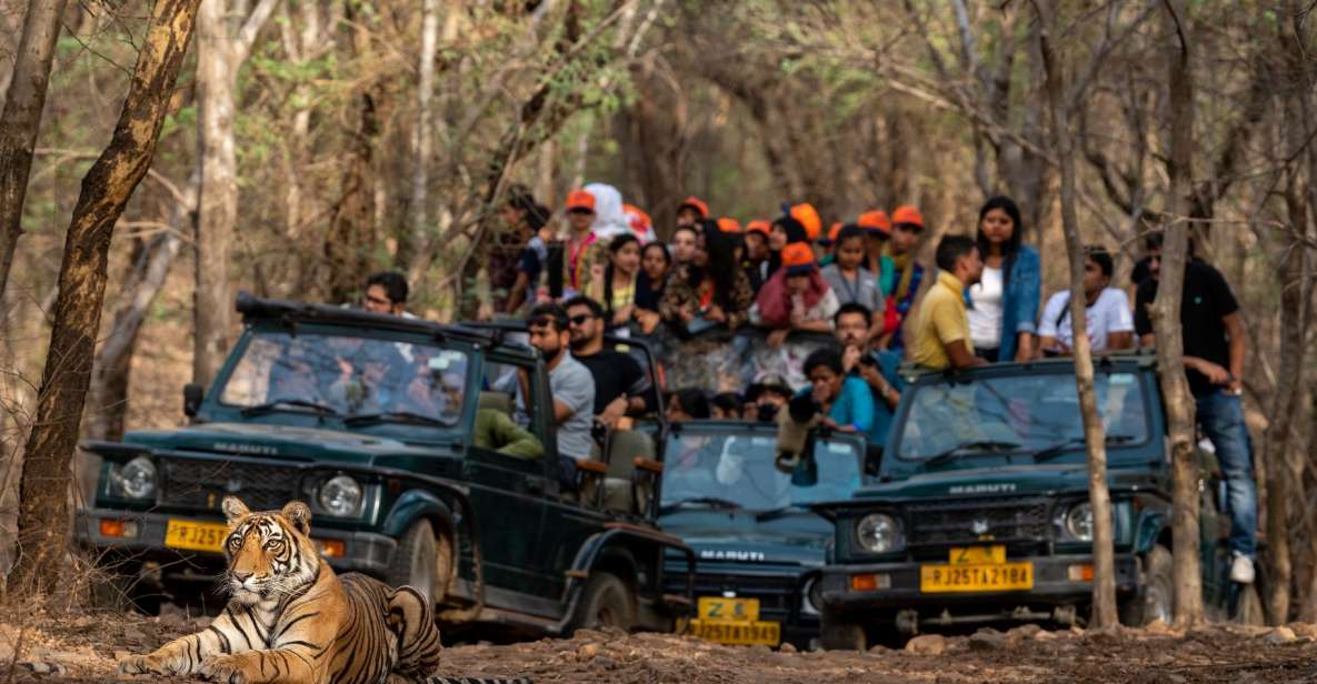 8 - Days Golden Triangle Tour With Ranthambore Tiger Safari - Itinerary Overview and Highlights