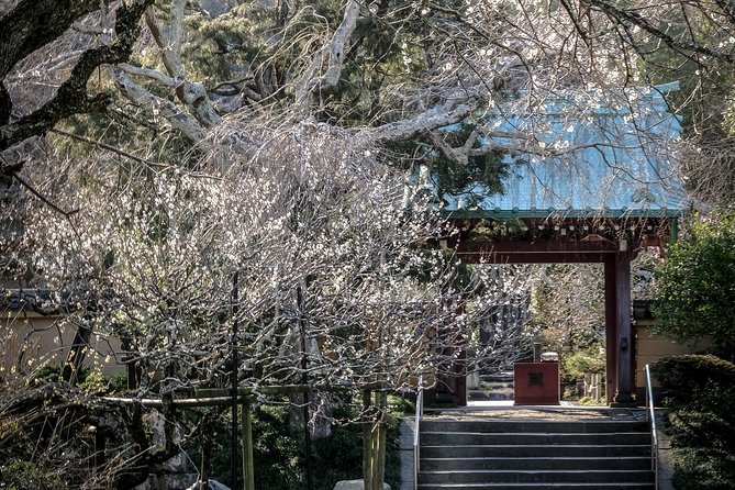 A Fun Day Out Discovering Kamakura - Admiring Kamakuras Natural Beauty