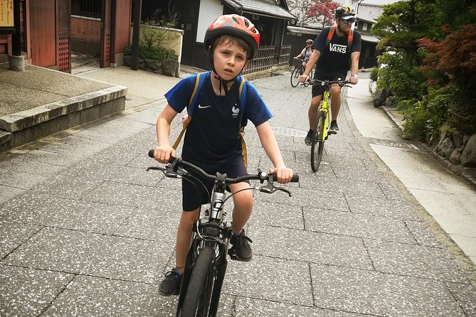 Afternoon Arashiyama Bamboo Forest & Monkey Park Bike Tour - Monkey Observations