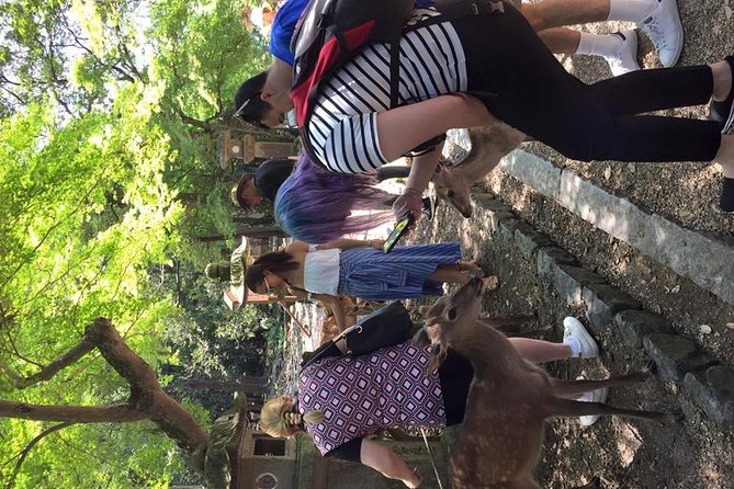 All Must-Sees in 3 Hours - Nara Park Classic Tour! From JR Nara! - Sum Up