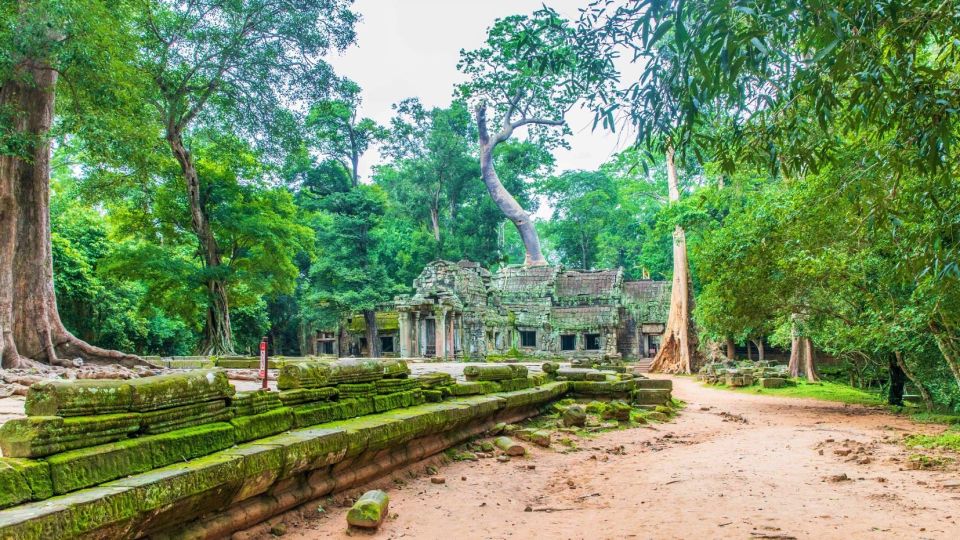 Angkor Wat Sunrise, Ta Promh, Banteay Srei, Bayon Day Tour - Tour Experiences