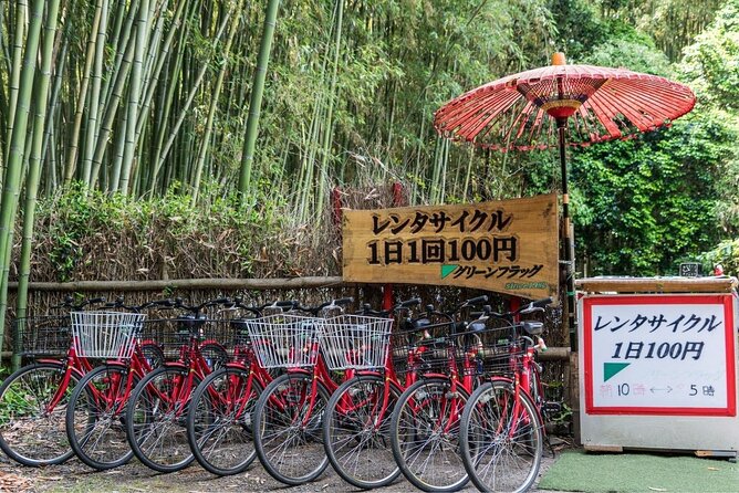 Arashiyama Bamboo Grove Day Trip From Kyoto With a Local: Private & Personalized - Visitor Recommendations and Feedback