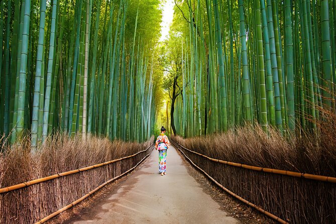 Arashiyama Walking Tour - Bamboo Forest, Monkey Park & Secrets - Traveler Feedback