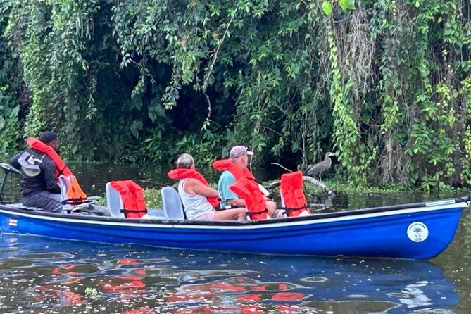 Canoe Tour in Tortuguero National Park - Safety Measures and Equipment Provided