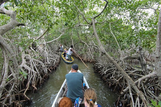 Cartagena Mangrove Private Tour - Includes Artisanal Fishing Classes - Reviews and Ratings