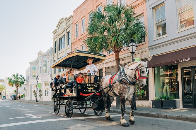 Charleston's Old South Carriage Historic Horse & Carriage Tour - Customer Testimonials