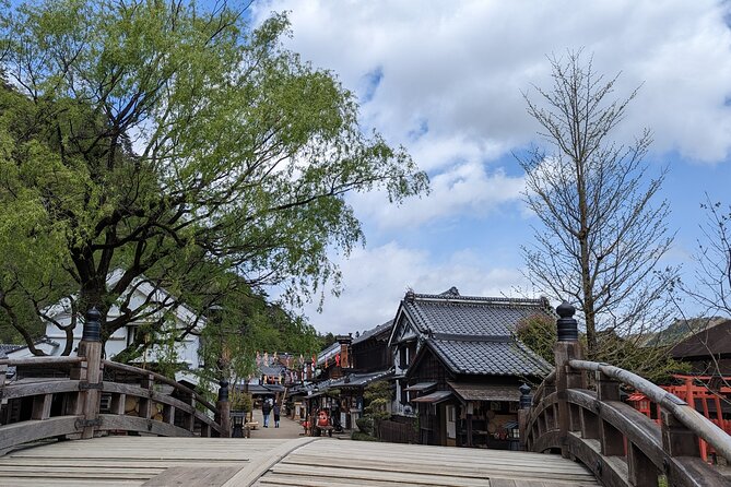 Chartered Private Tour - Tokyo to Nikko, Toshogu, Edo Wonderland - Traveler Experiences Feedback