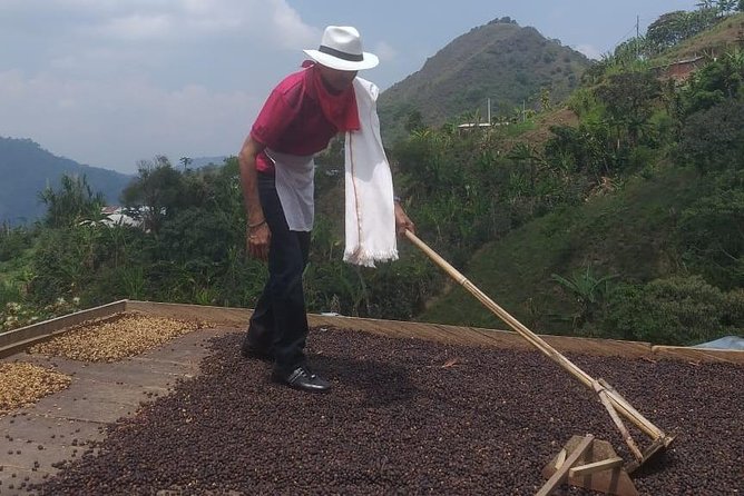 Coffee Tour Medellin - Customer Reviews