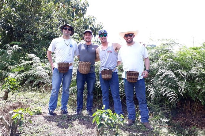 Colombian Coffee Farm Private Half-Day Tour From Medellin  - Medellín - Tour Overview