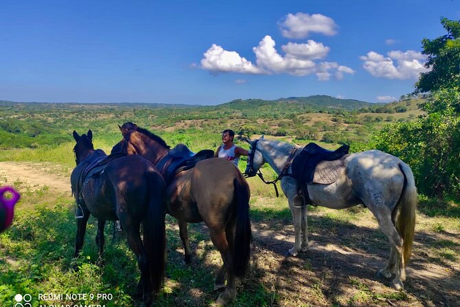 Countryside Horseback Riding Eco-Adventure Near Cartagena - Traveler Photos Viewing Option