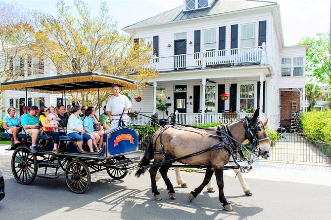 Daytime Horse-Drawn Carriage Sightseeing Tour of Historic Charleston - Customer Reviews