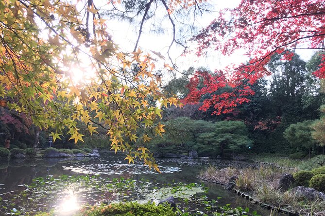 Discover the Beauty of Kyoto on a Bicycle Tour! - Reviews and Testimonials