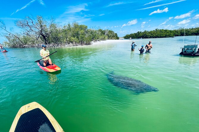 Dolphin and Manatee Adventure Tour of Fort Myers - Historical Insights