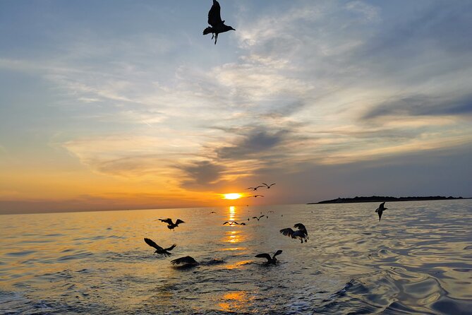 Dolphin Watching Sunset Boat Trip in Pula With Dinner - Pricing and Booking Details