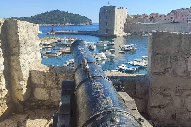 Dubrovnik Small Group Tour From Split or Trogir - Tour Highlights and Exploration