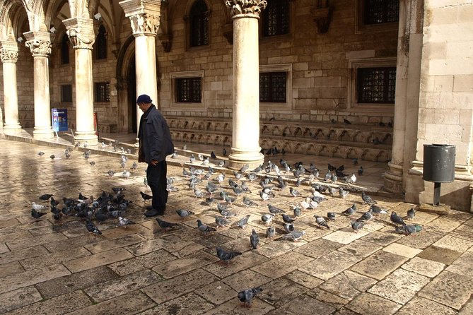 Dubrovniks Old Town Walking Tour - Logistics