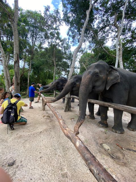 Elephant Forest & Floating Village Private Tour - Activity Details