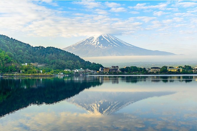 Experience the Stunning Nature of Mt.Fuji - Private Tour - Booking Information