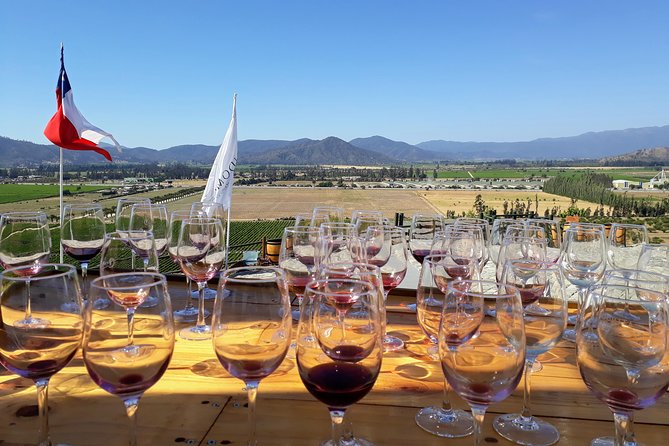 Explore Casablanca Valley Vineyards and Wine on Small Group Tour - Common questions