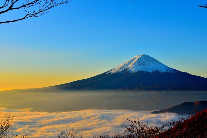 Explore Mt. Fuji, Hakone and Lake Ashi in a Day by Private Car - Mt. Fujis 5th Station Visit