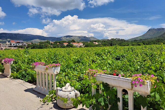 Exquisite Flavors of Peljesac, Wine Tasting Tour - Culinary Delights of Peljesac