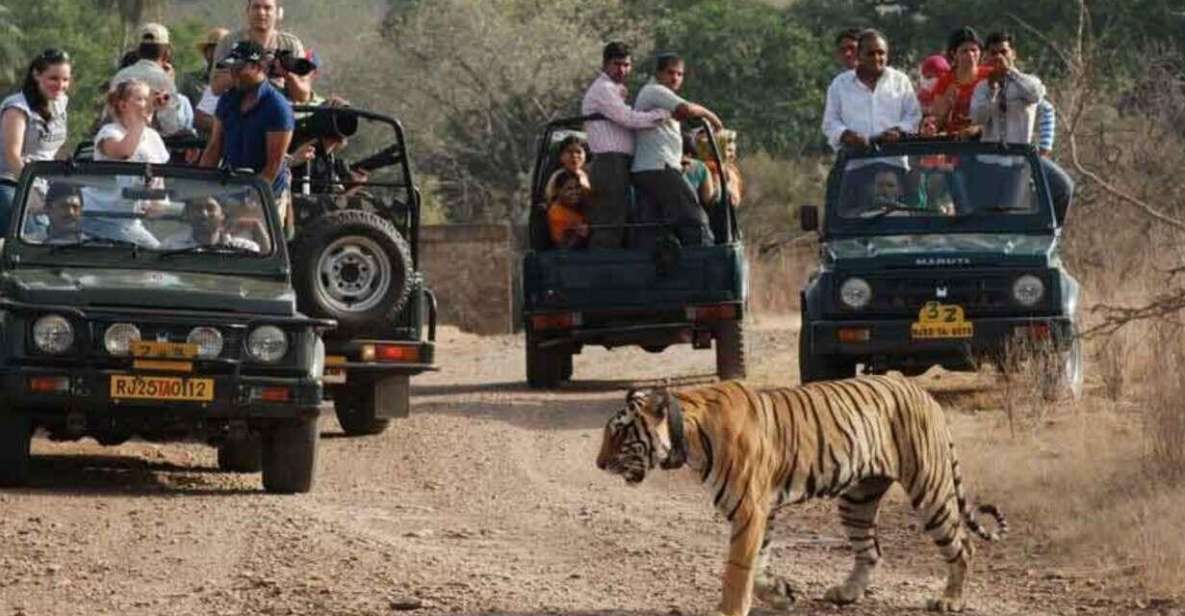 From Delhi: 7-Day Golden Triangle Trip & Ranthambore Safari - Exclusions From the Trip