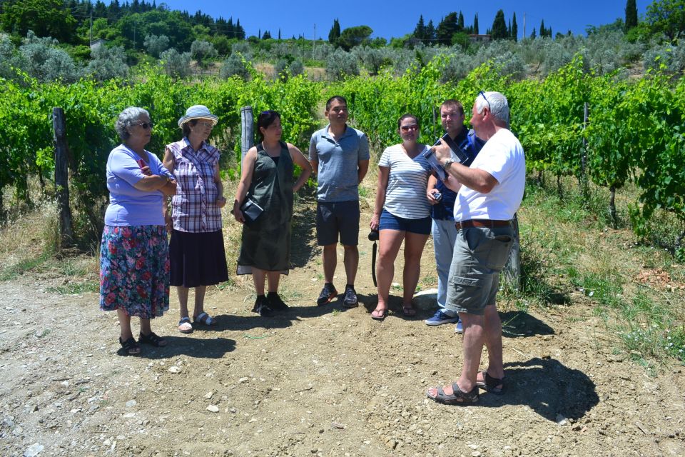 From Florence: Boutique Winery Tour With Lunch in Chianti - Tour Highlights