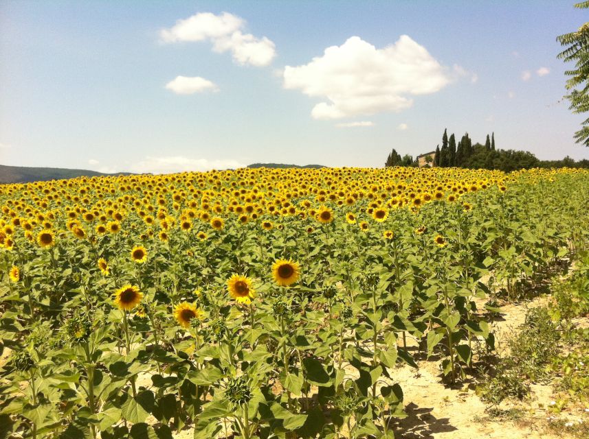 From Florence: Siena, Cortona, Montepulciano & Val D'Orcia - Itinerary Overview