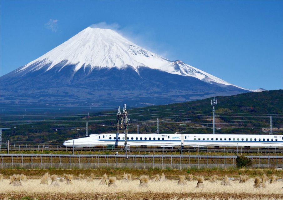 From Tokyo: Mt. Fuji & Hakone Tour W/ Return by Bullet Train - Guest Reviews and Experiences