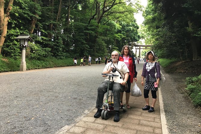 Full-Day Accessible Tour of Tokyo for Wheelchair Users - Customer Reviews