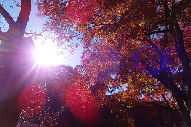 Full Day Hiking Tour at Mt.Takao Including Hot Spring - Accessibility Information