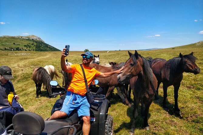 Full-Day Quad and Wild Horses Safari in Livno From Split - Reviews