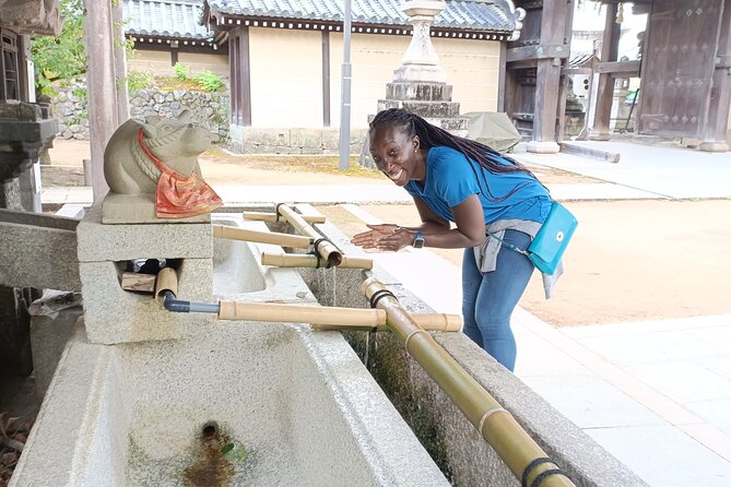 Full-Day Sightseeing to Kyoto Highlights - Lunch Break