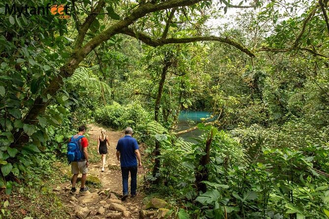 Full-Day Sloth and Rio Celeste Waterfall/Private SUVNature Guide - Tour Highlights