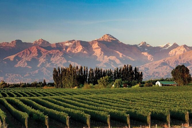 Full Day Tour Mendoza Wineries in the Uco Valley - Common questions