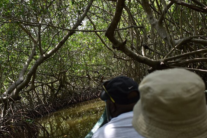 Full Day Tour of the Mangrove Swamp and Mud Volcano in Cartagena - Minimum Traveler Requirement