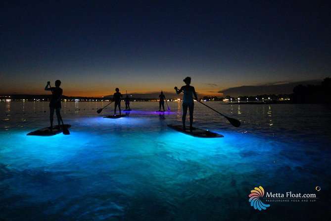 Glow-in-the-Dark SUP Experience in Pula (Mar ) - Activity Highlights