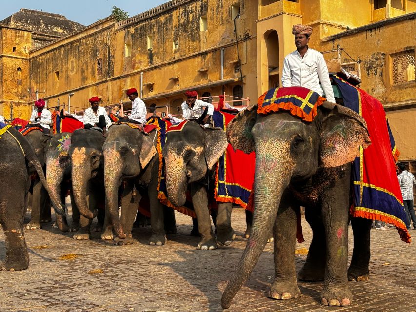 Golden Triangle Tour With Ranthambore by Car 6 Nights 7 Days - Day-wise Itinerary