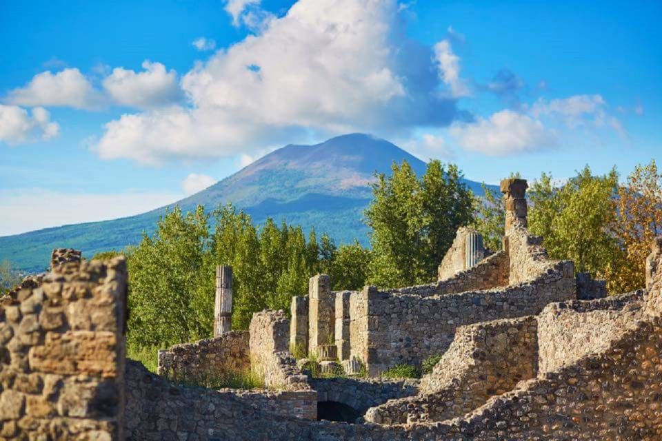 Group Tour: Naples and Pompei in One Day! - Activity Description