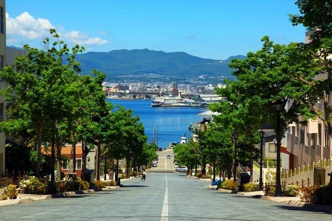 Hakodate Full-Day Private Tour With Government-Licensed Guide - Meeting and Pickup Details