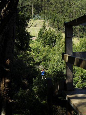 Haleakala 5 Line Zipline Adventure - Cancellation Policy