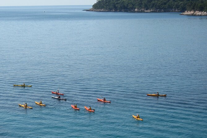 Half Day Guided Zaton Bay Kayak, Swim, and Snorkel Tour in Dubrovnik - Last Words