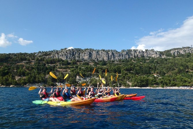 Half-Day Split Sea Kayak Adventure - Customer Experience