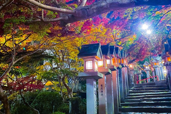 Hidden Gems of Osaka Kyoto Nara - Private Car Tour by Local Guide - Exclusive Shrine Visits