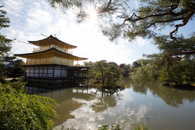 Hidden Kyoto E-Biking Tour - Tour Guides