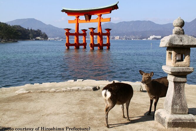 Hiroshima Departure - 1 Day Hiroshima & Miyajima Tour - Cancellation Policy